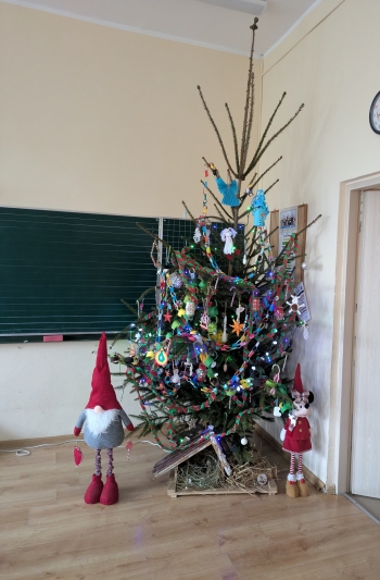 PXL_20251215_072640392.MP