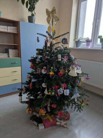 PXL_20251215_072609326.MP