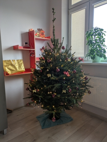 PXL_20251215_094029429.MP