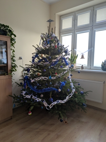 PXL_20251215_094048940.MP