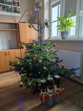 PXL_20251215_095407899.MP