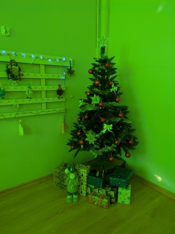 PXL_20251215_114245364.MP