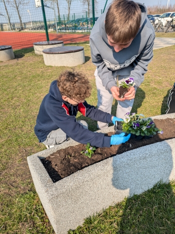 PXL_20260318_090445830.MP