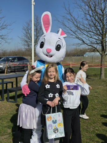 3f492e01-8519-4be0-9656-c0774de95dc2