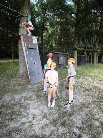 IMG-20260711-WA0008