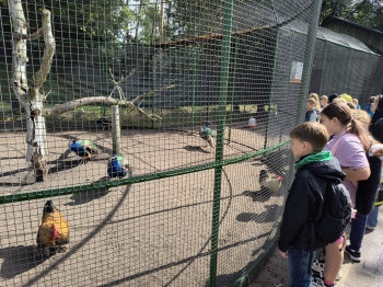 IMG-20260819-WA0044
