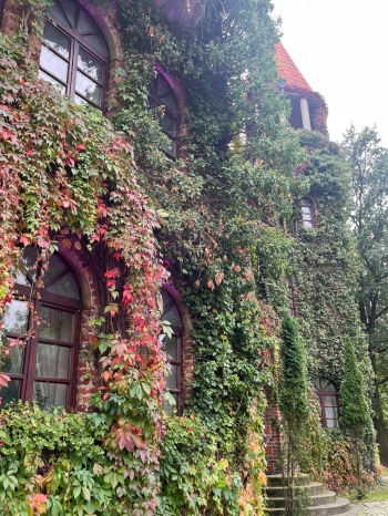 IMG-20260925-WA0005