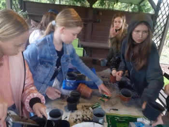 44cb24dd-1a36-441d-bd40-acf0acd52449