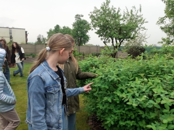 dfc0e418-c98f-41c0-91de-20cffb6b236e