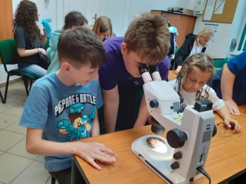 8d4dbff3-caab-46e6-b108-b8fbf470d923