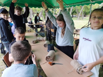 8c2046c1-48f3-403e-8912-658d3a63bb24