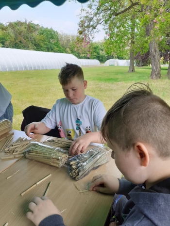 c44dc245-3ba7-444b-83fb-b2701fc2cef8