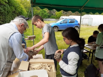 272a9960-1da6-4fee-90fe-6ef1cb660dcb