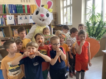 7e9b013f-56a3-4afd-9170-b6b2996d1232