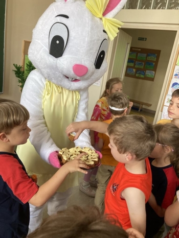 1165e269-5923-49f8-bcab-750ea6cace0d