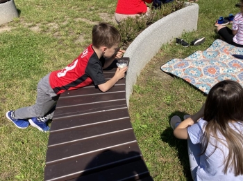 78776126-7341-4e97-b1e1-2dc72f3cd174