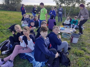 49073ca4-dd55-44d3-8ef4-6f090696670b