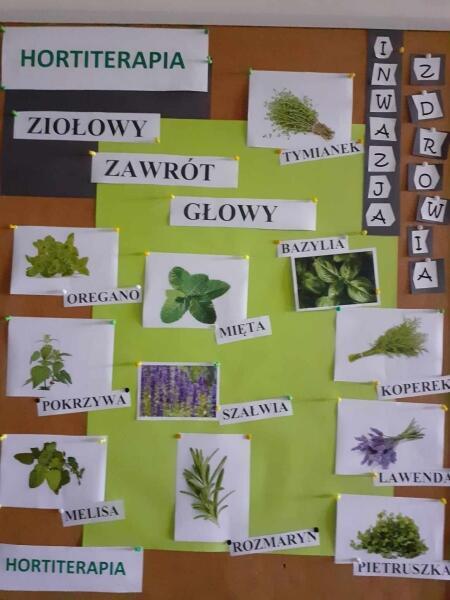 Ziołowy zawrót głowy – Inwazja Zdrowia