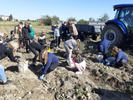 Ekologia w praktyce – edukacja zdrowotna – zdrowie środowiskowe